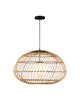 Carriage Outdoor Pendant angle 5