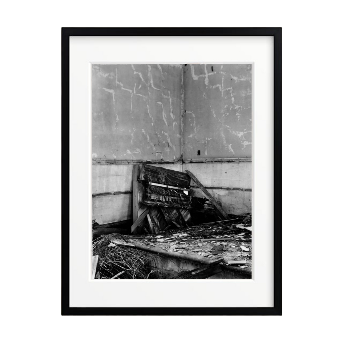 "Somewhere in Iowa" by Katie Boyd Photography