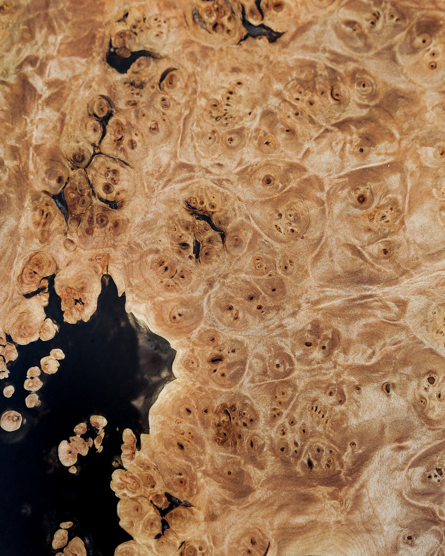 Maple Burl