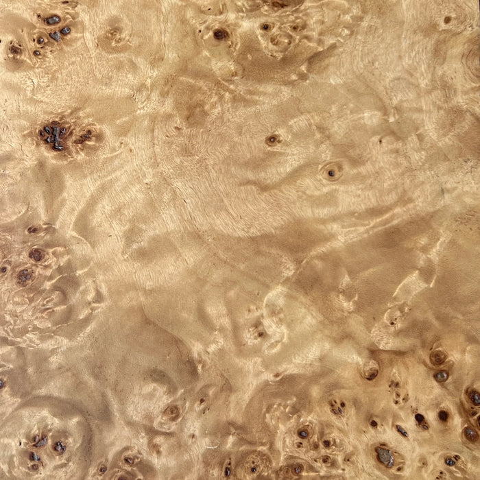 Mappa Burl